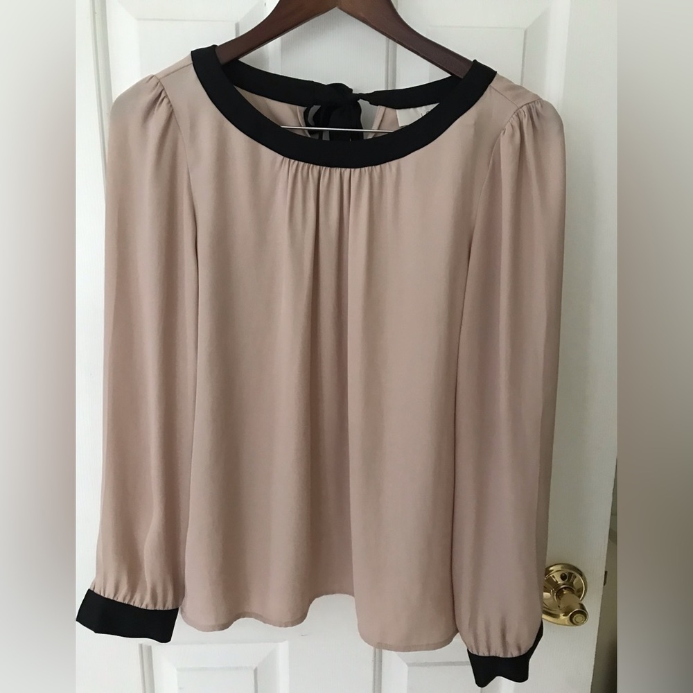 Ann Taylor loft semi sheer tie back blush blouse